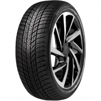 Nexen Winguard Ice Plus 245/45 R18 100T XL